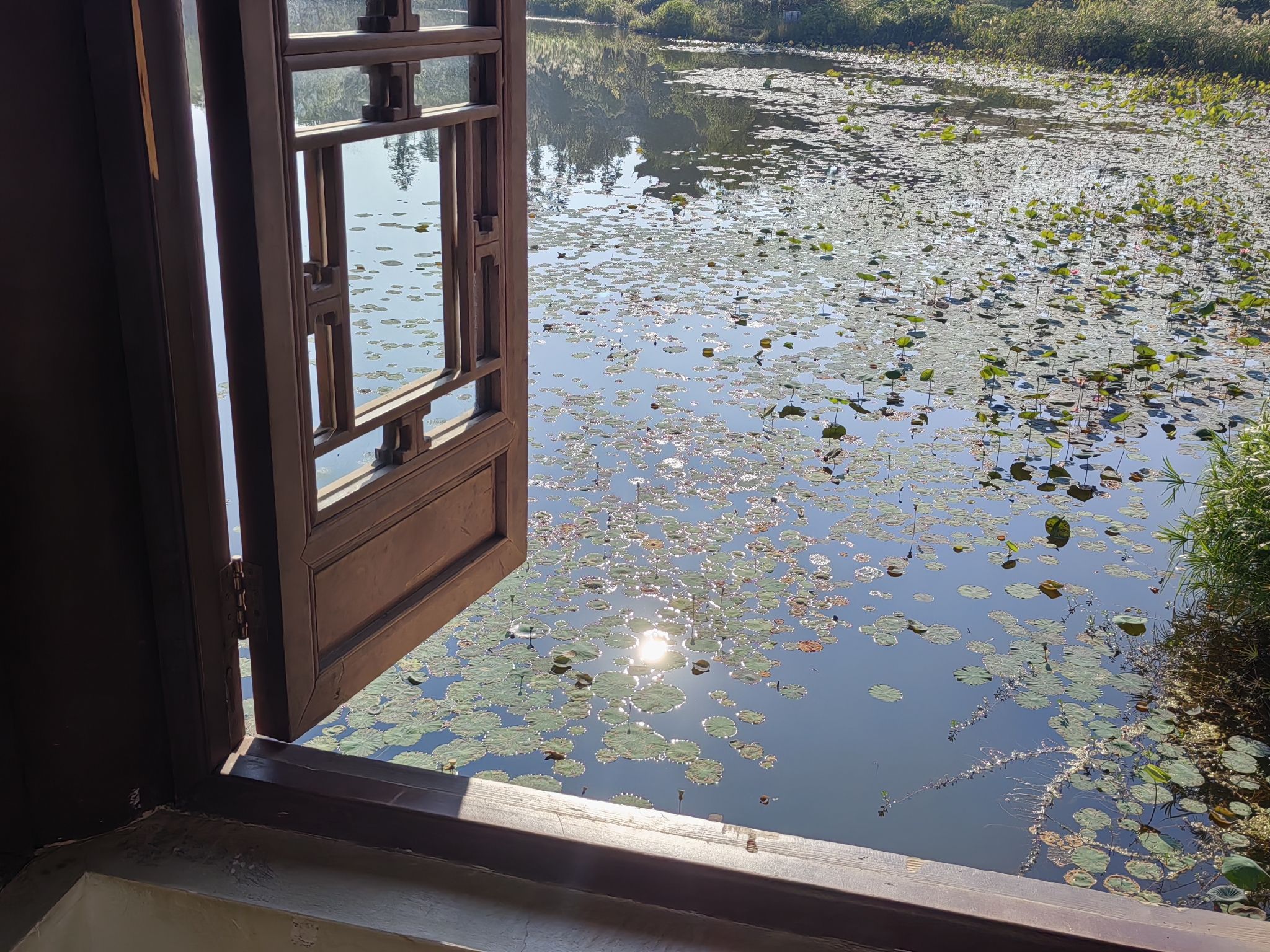 书香公园旅行图片