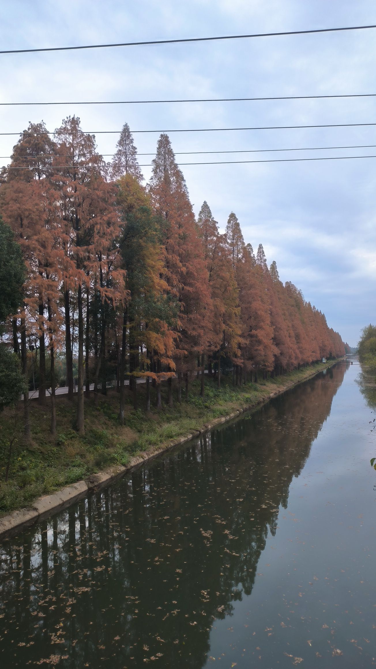 金洲筒车主题公园旅行图片