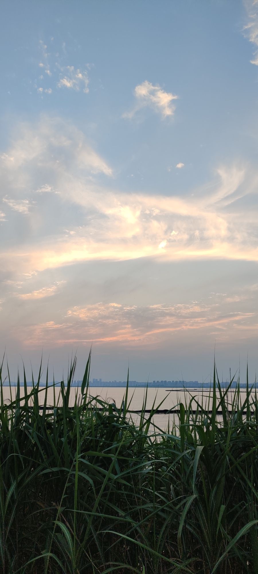 长洲苑湿地公园
