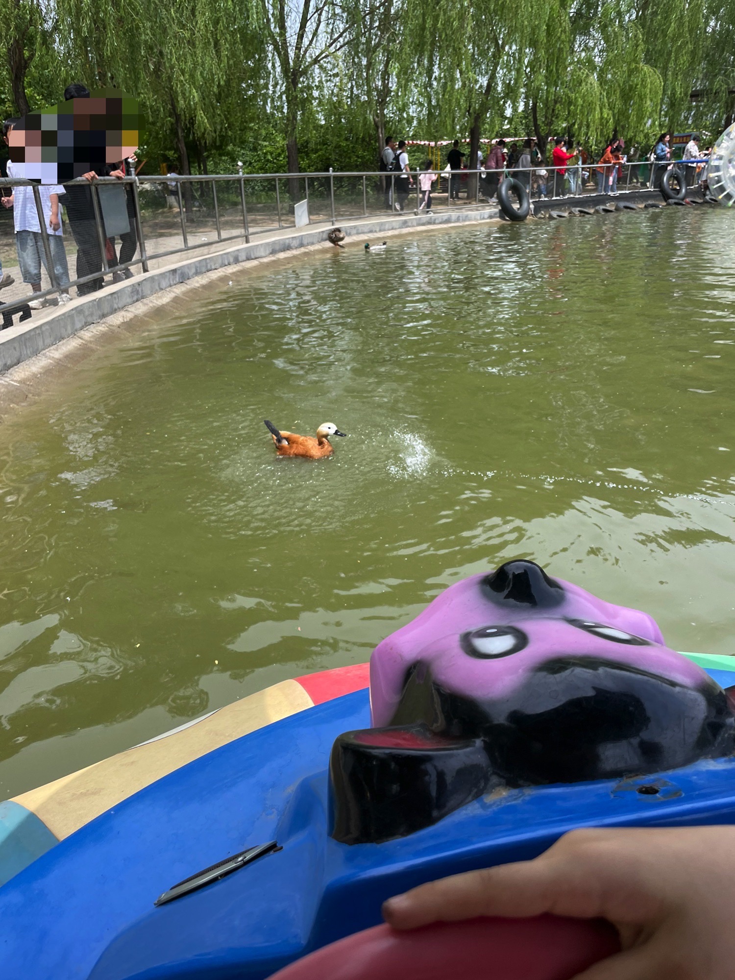 曲阜动物园旅行图片