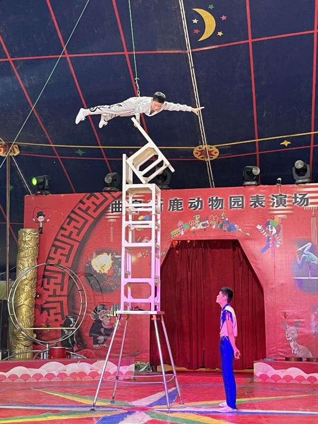 曲阜动物园旅行图片