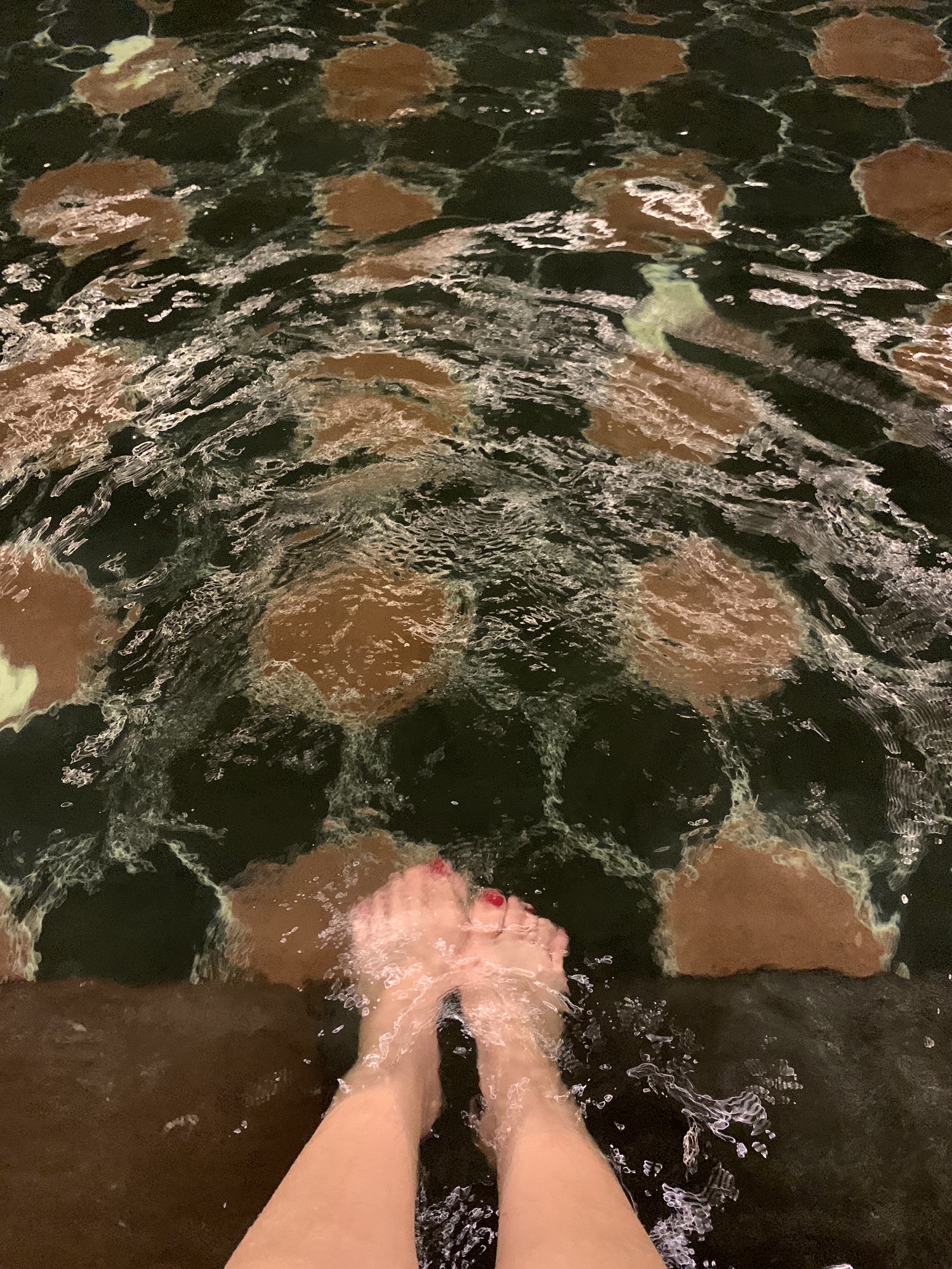 长白山乐高美温泉度假酒店旅行图片