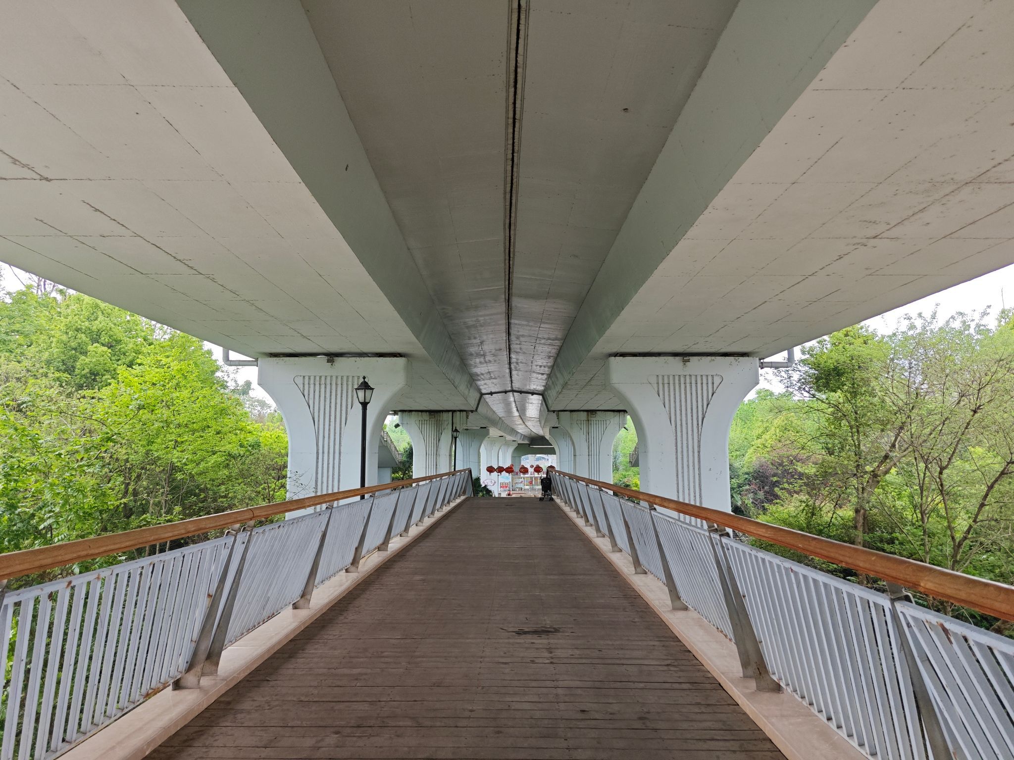 飞龙岛公园
