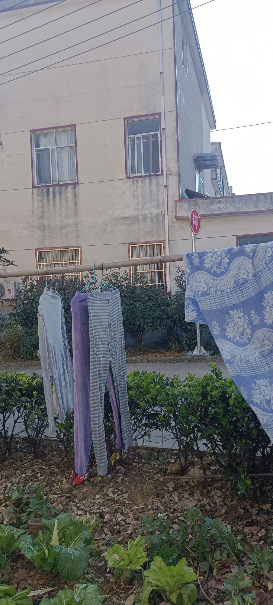 范岗人民广场