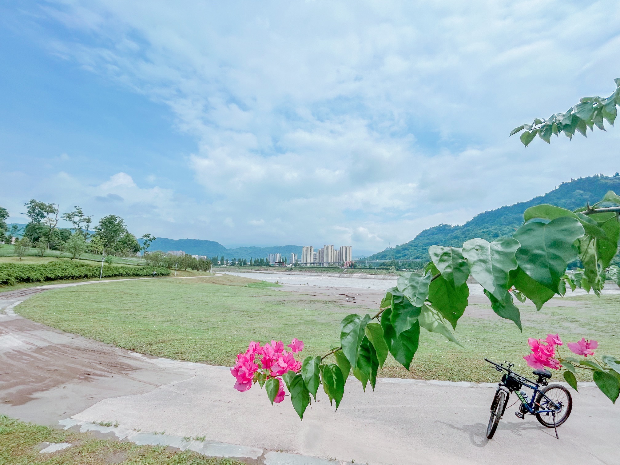 桃花岛公园旅行图片