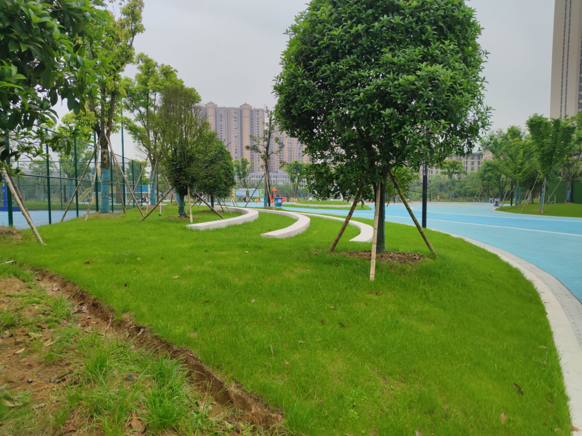 信江生态公园旅行图片