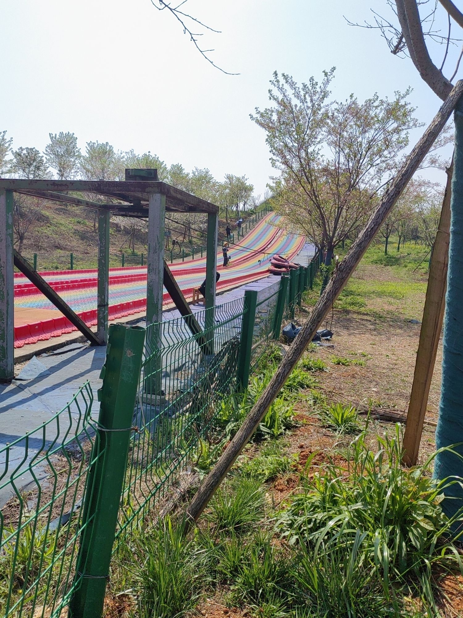 岳阳樱花园
