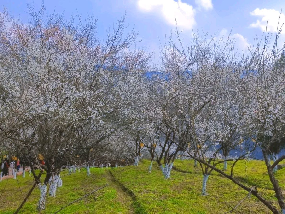乌梅山风景名胜区