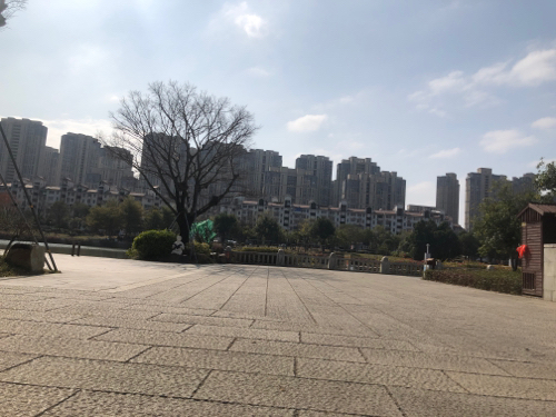 光明港南公园