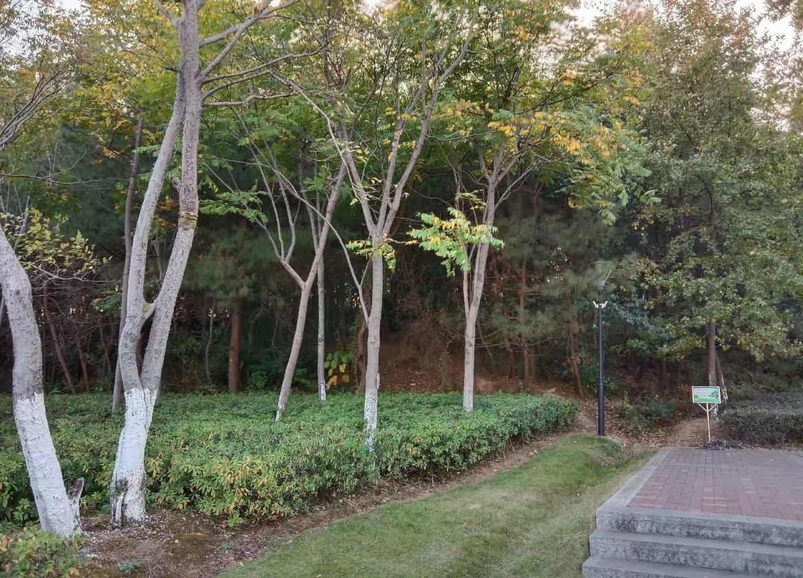 狮子岭公园