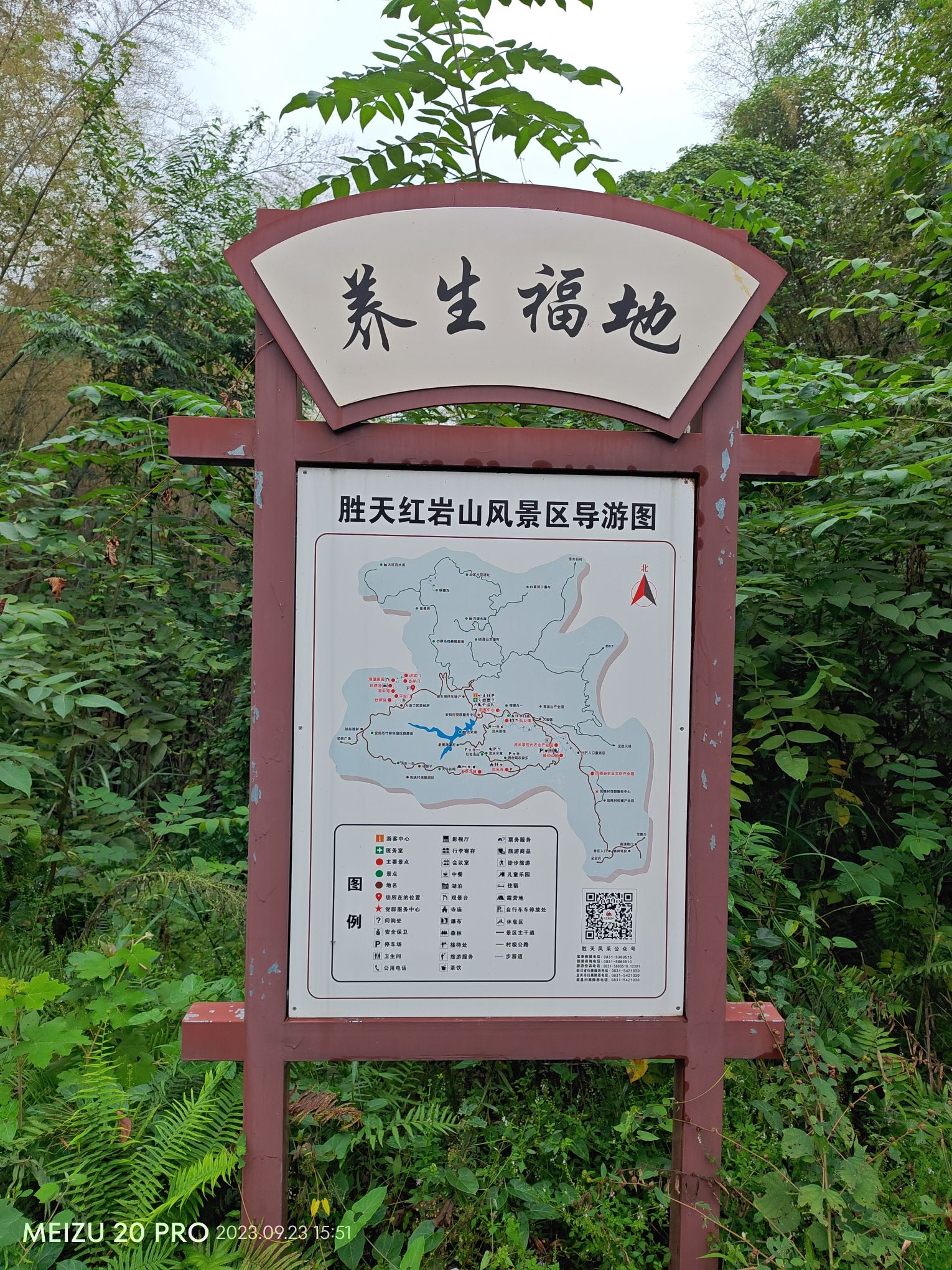 桫椤海