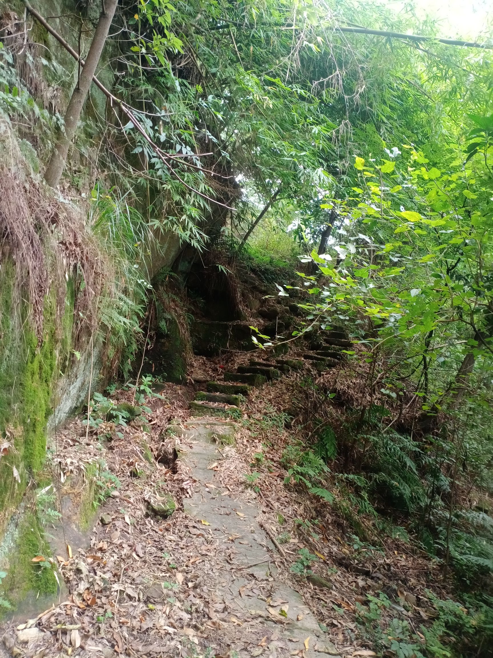 百佛景点