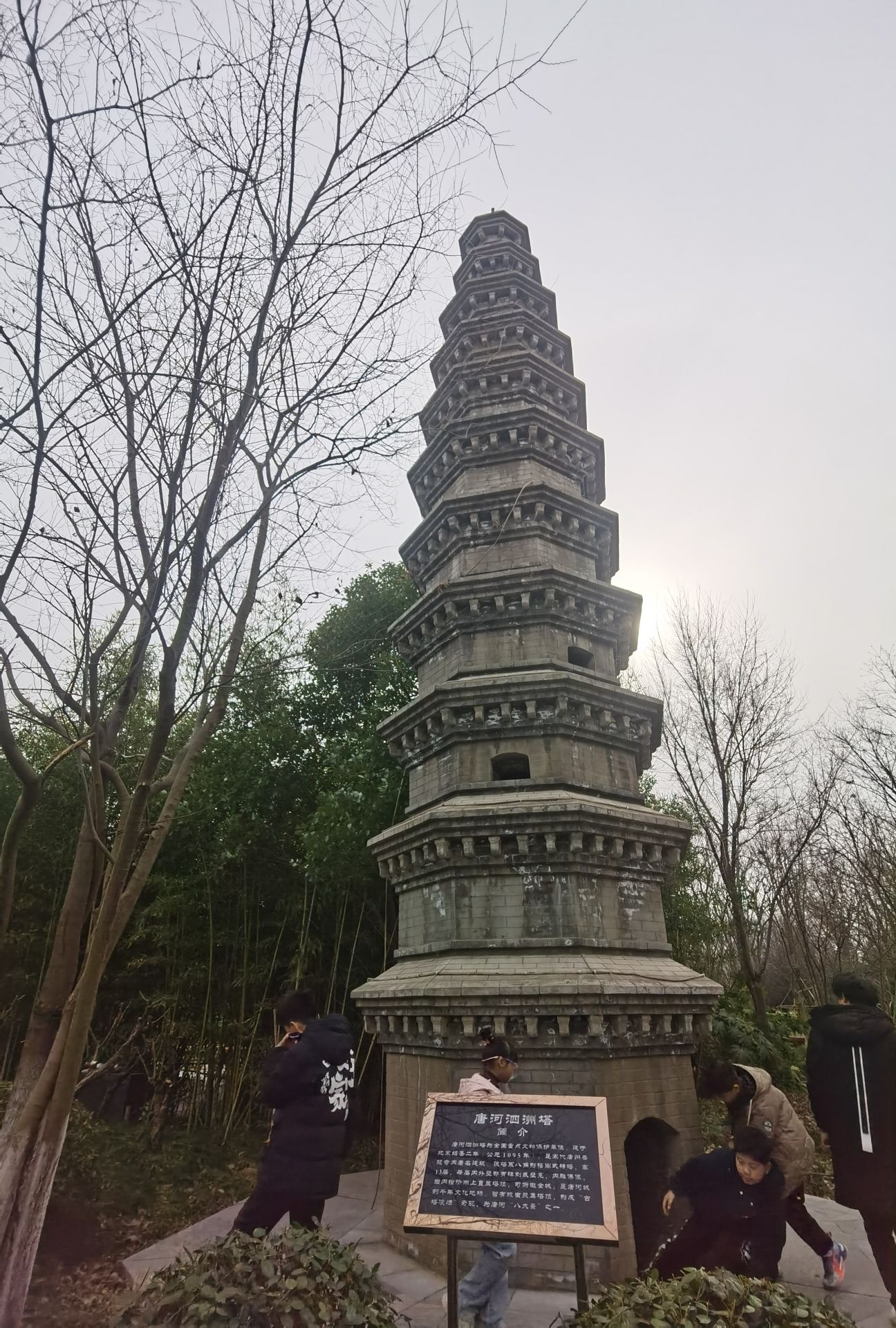 南阳世界月季大观园旅行图片