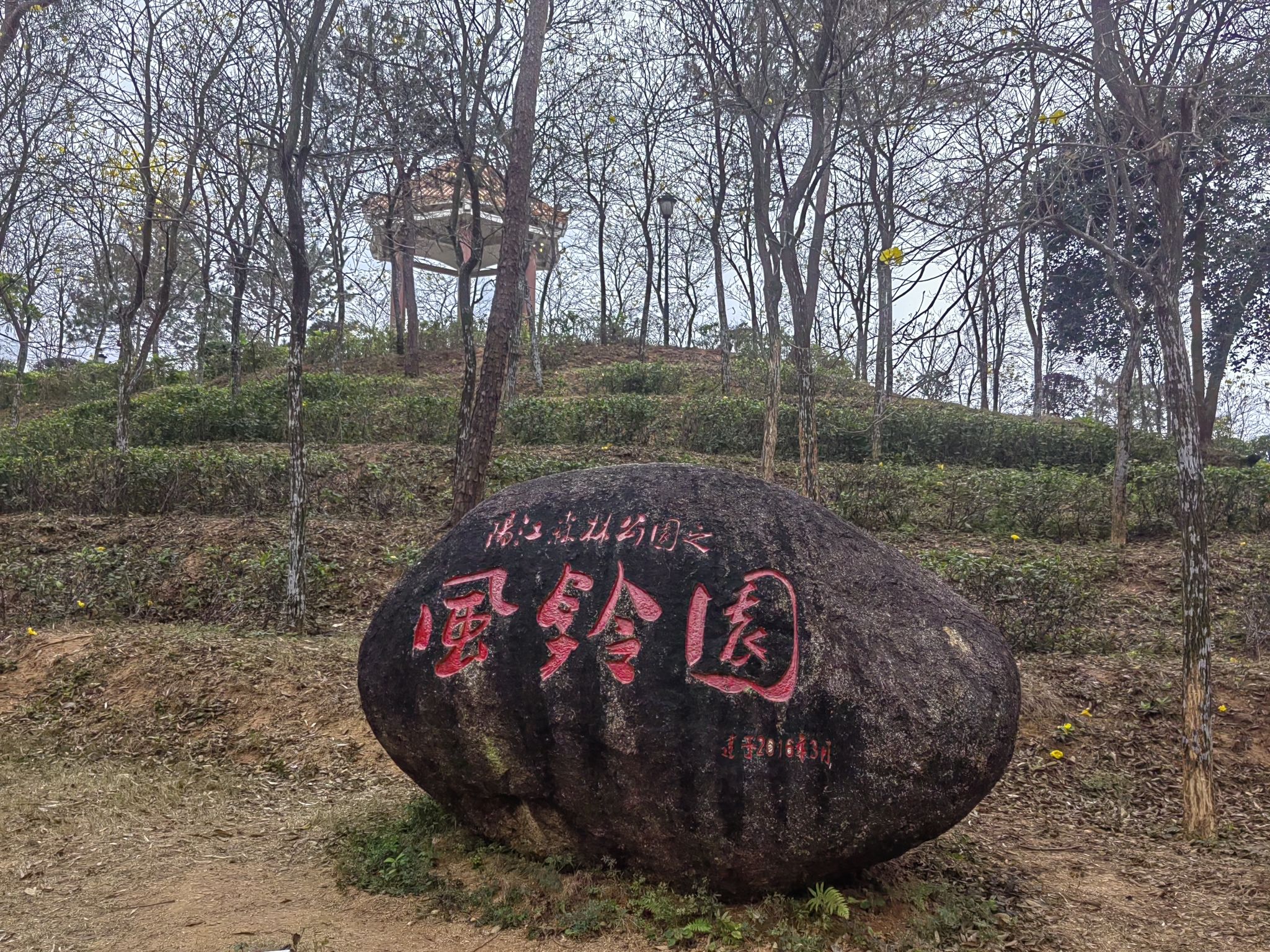 阳江市城市风景