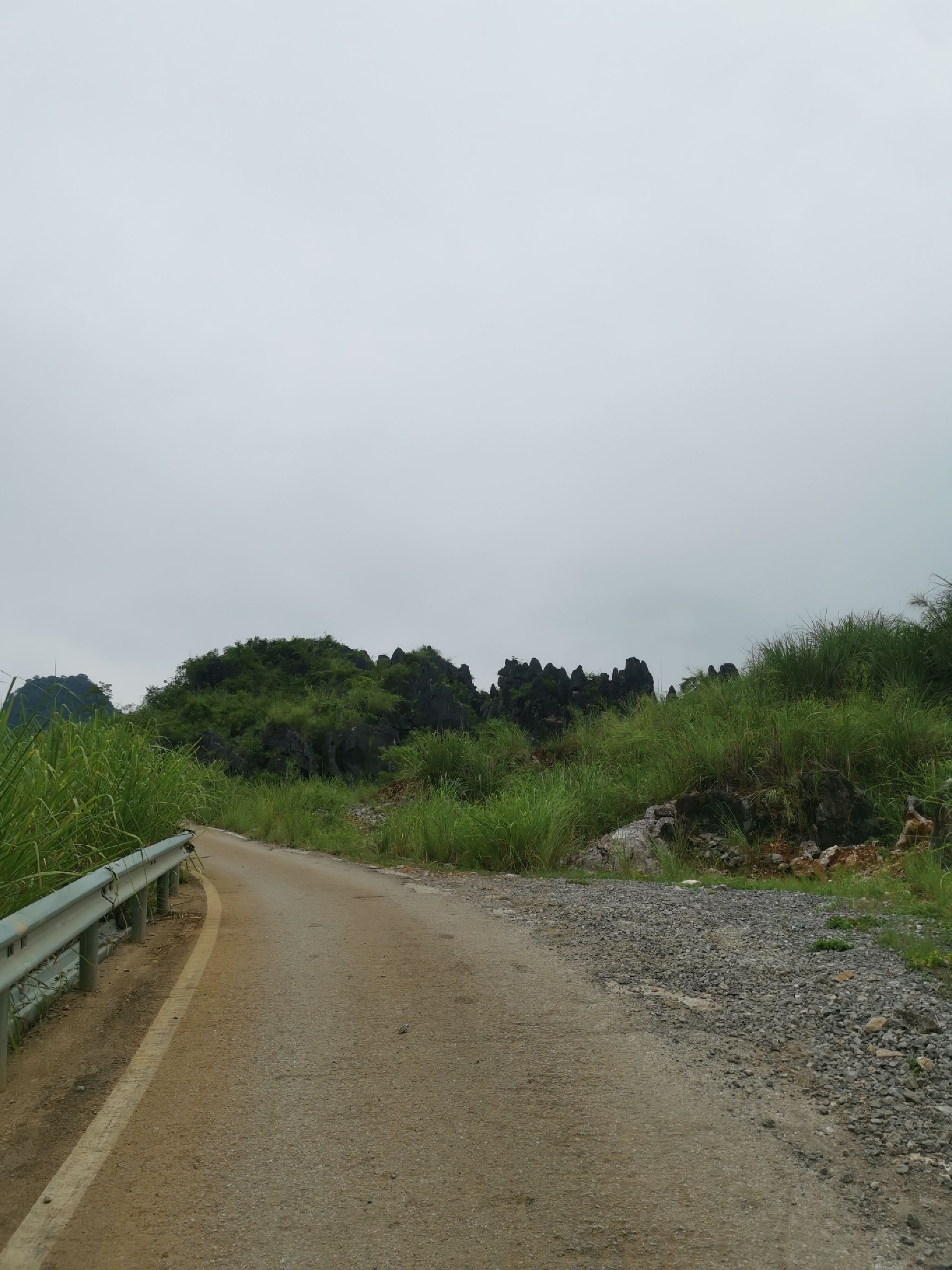 响水石林旅行图片