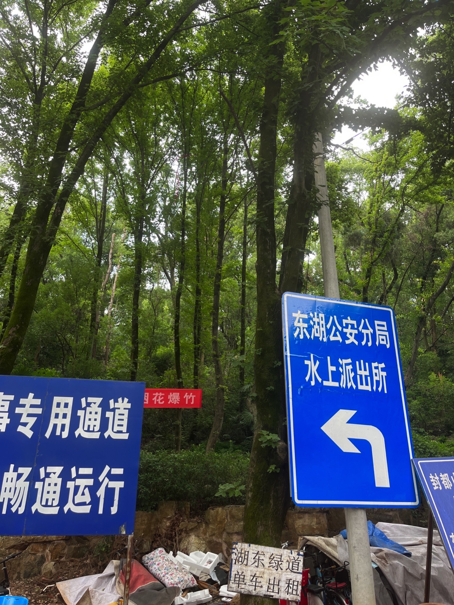 枫多山旅行图片