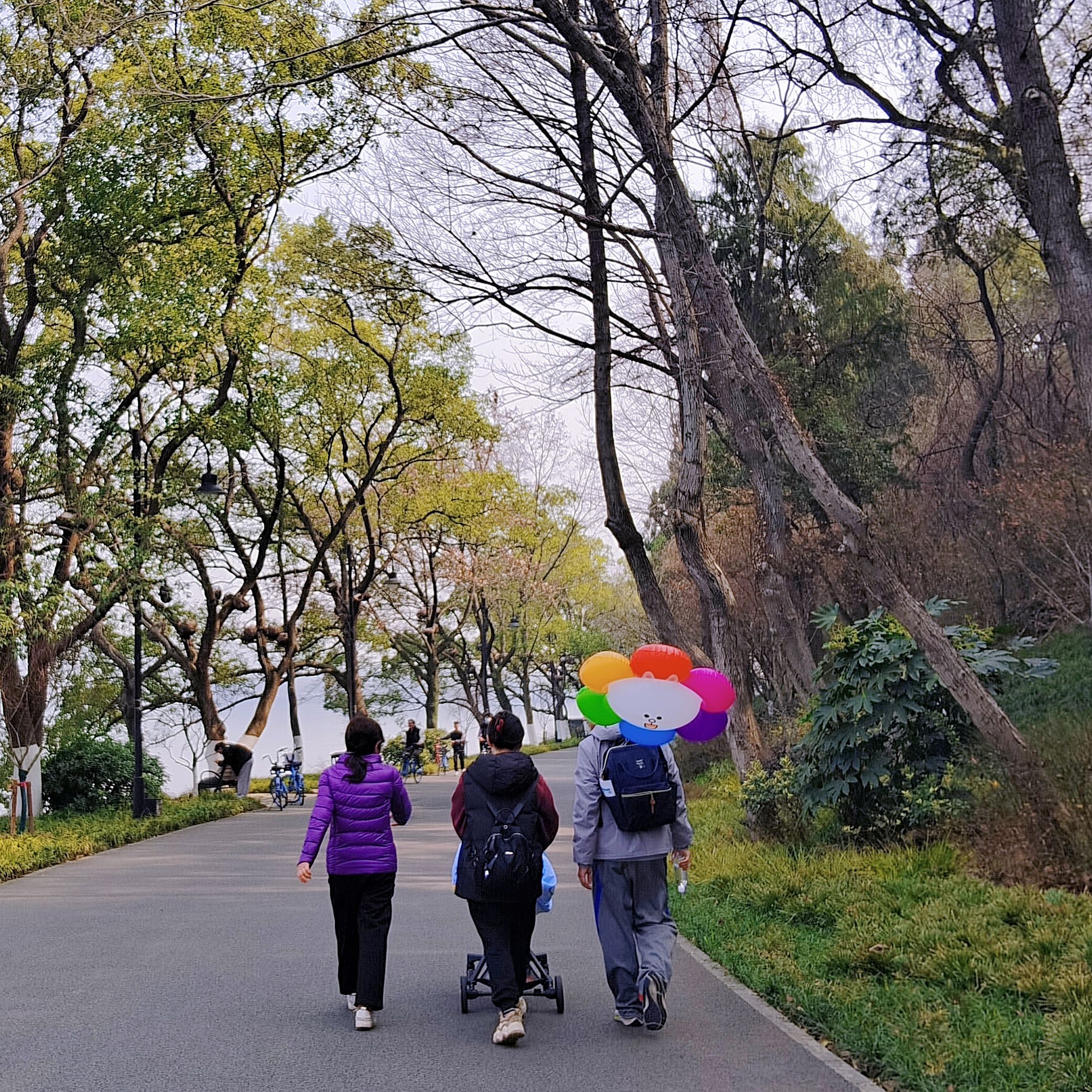 枫多山旅行图片
