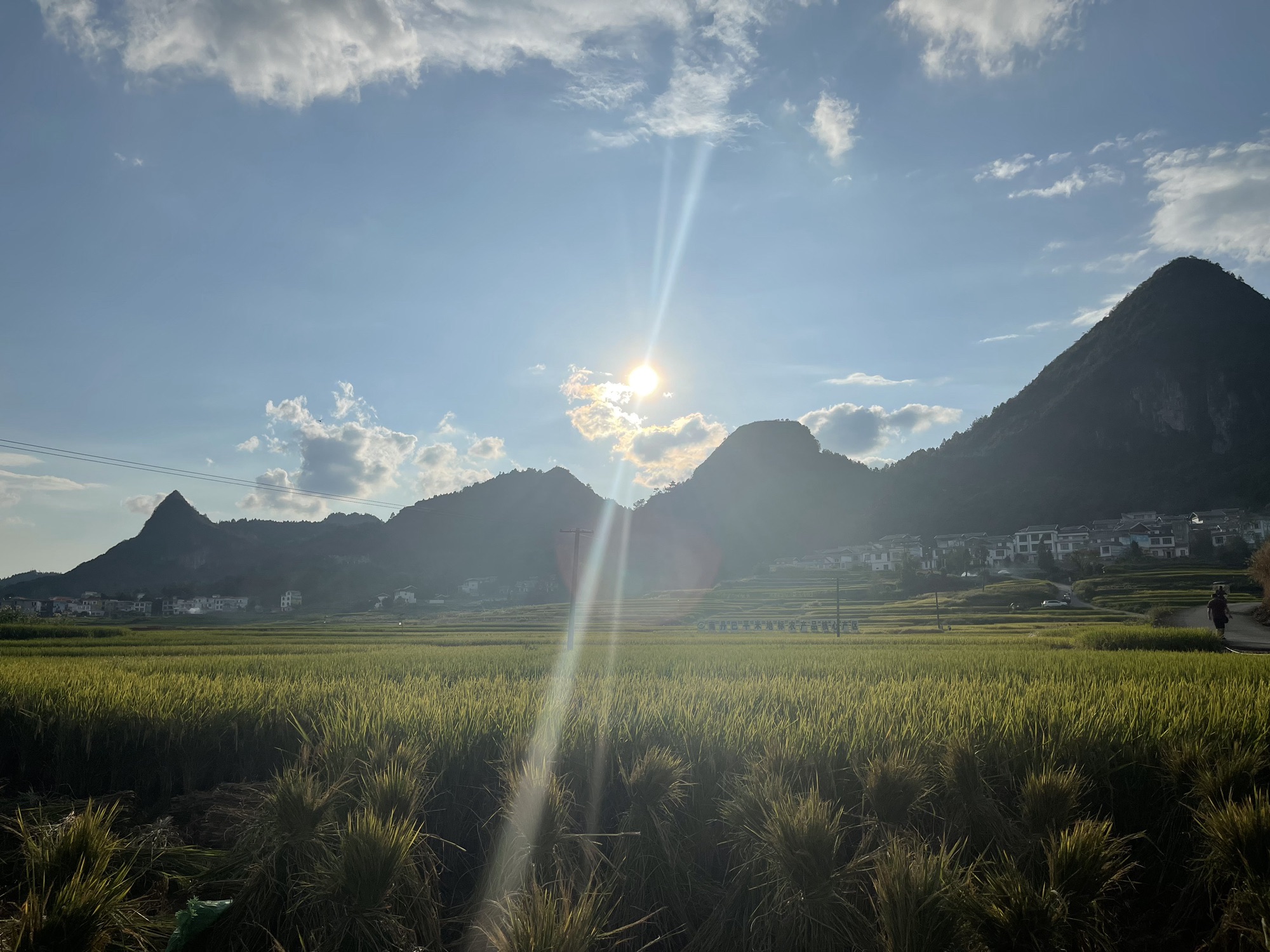 巴平梯田