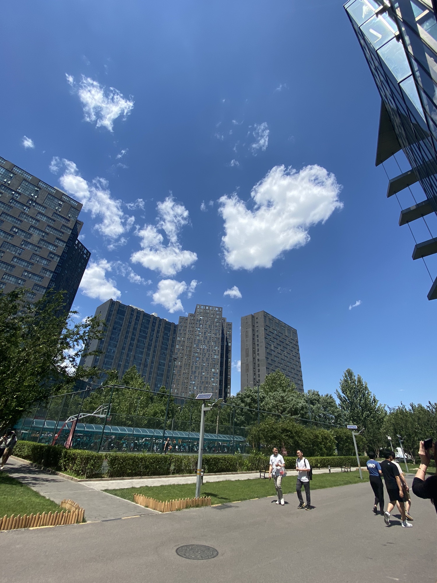 儿童公园旅行图片