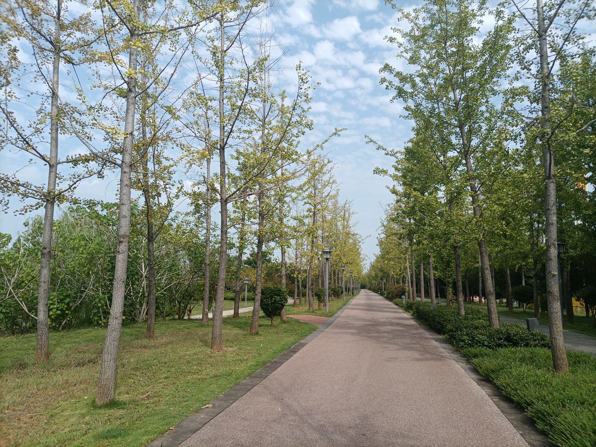 屈子生态湿地公园