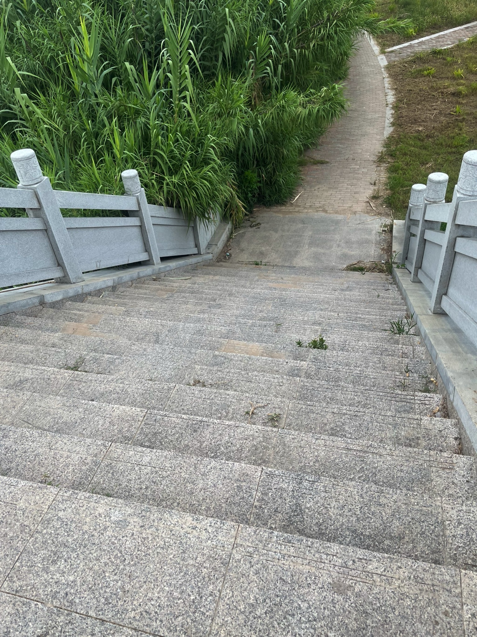 亳州望月潭公园旅行图片