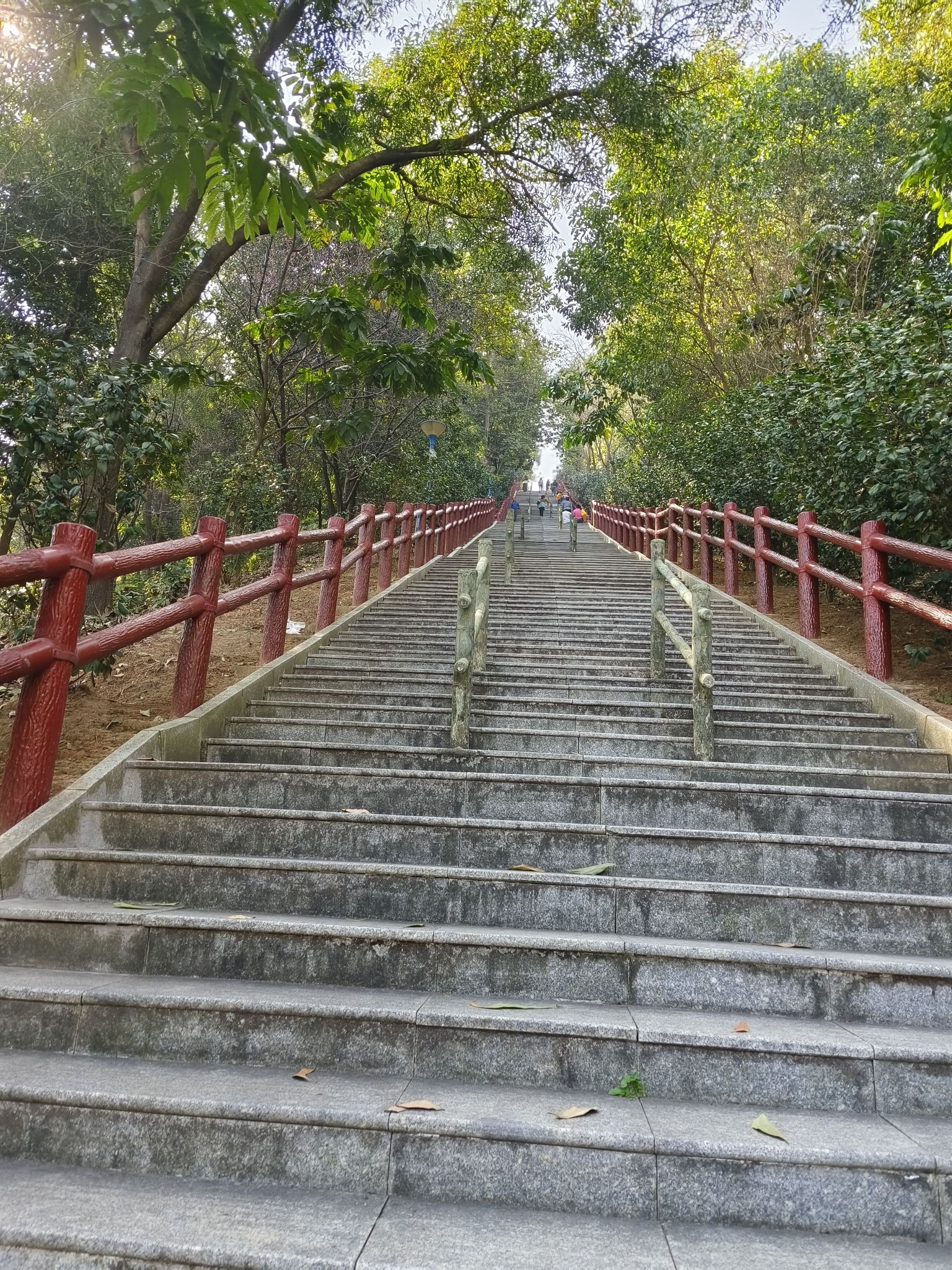飞鹅岭森林公园