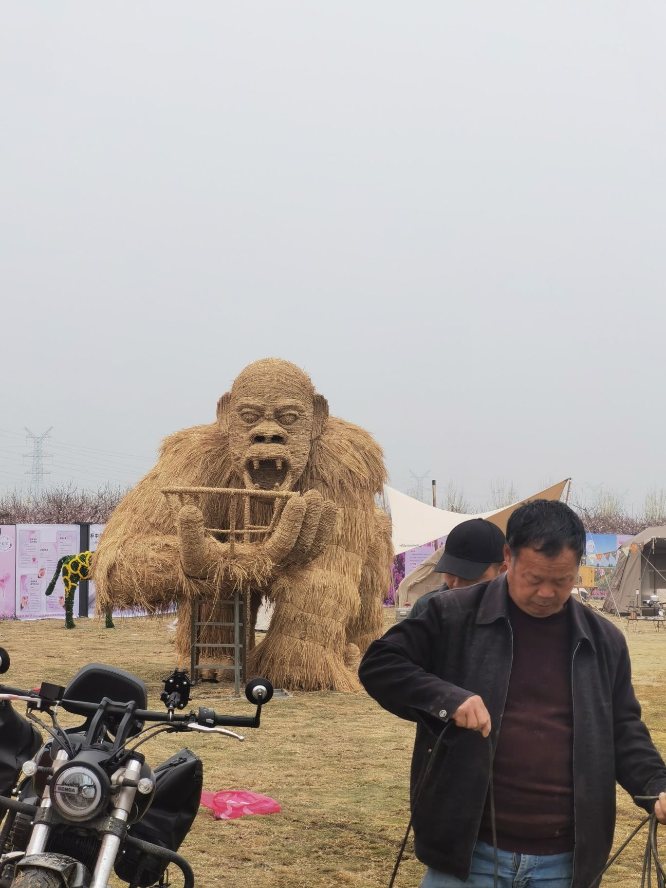 黄桥桃花园