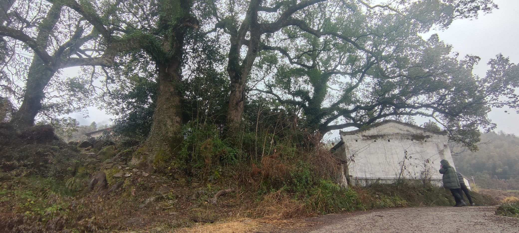 九瀑峡景区