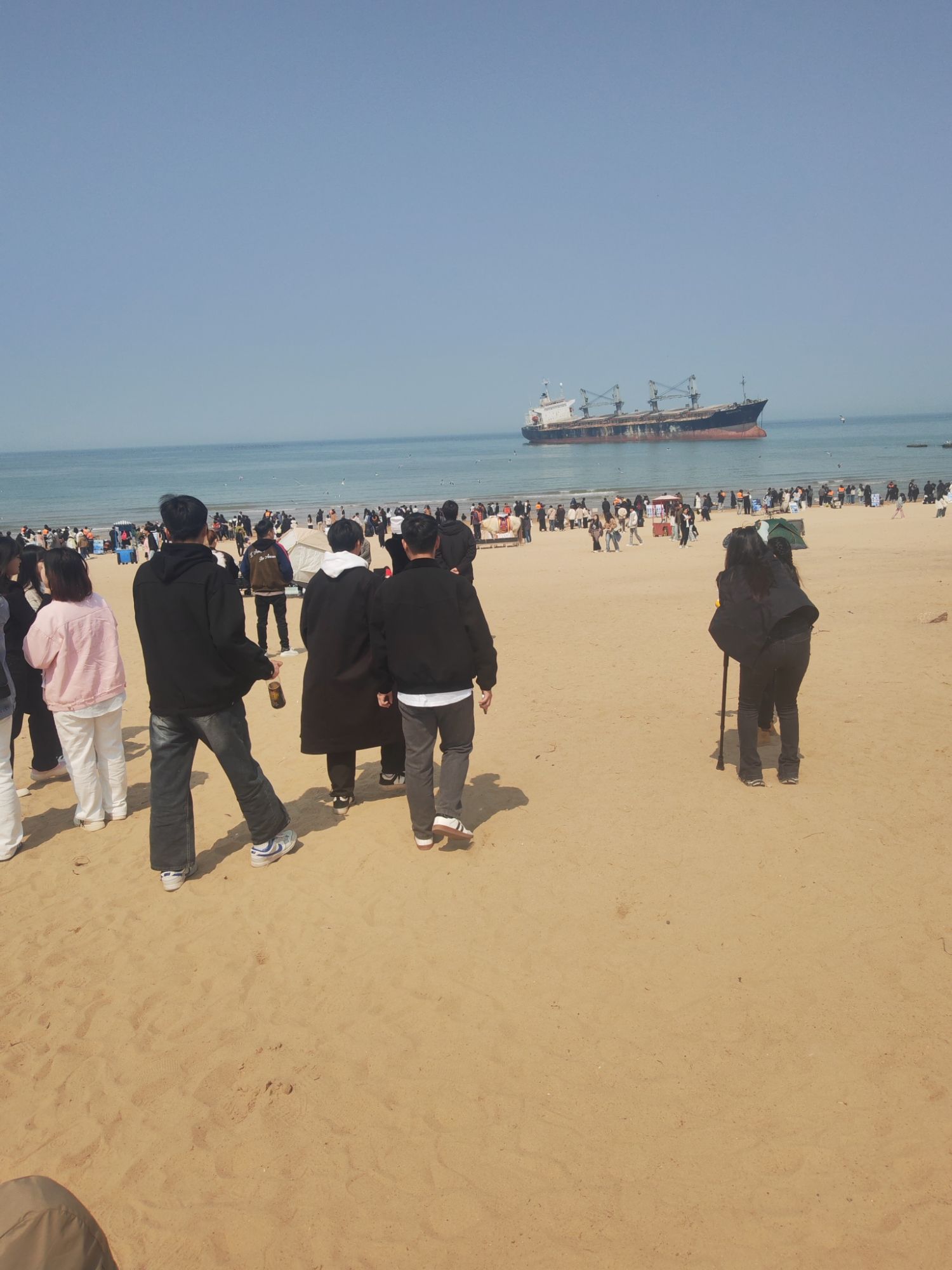 荣成成山森林公园