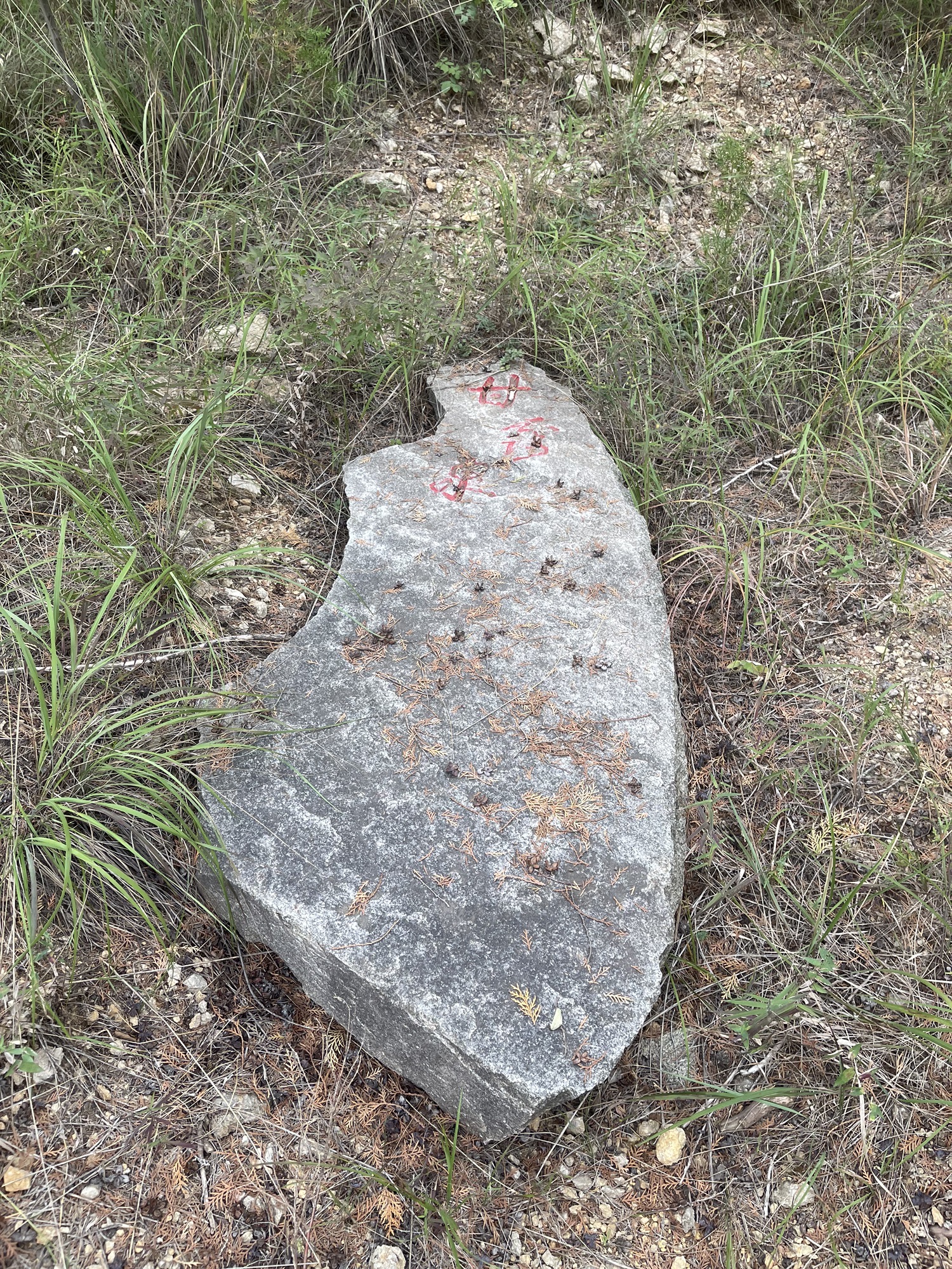泗水县青龙山森林公园旅行图片