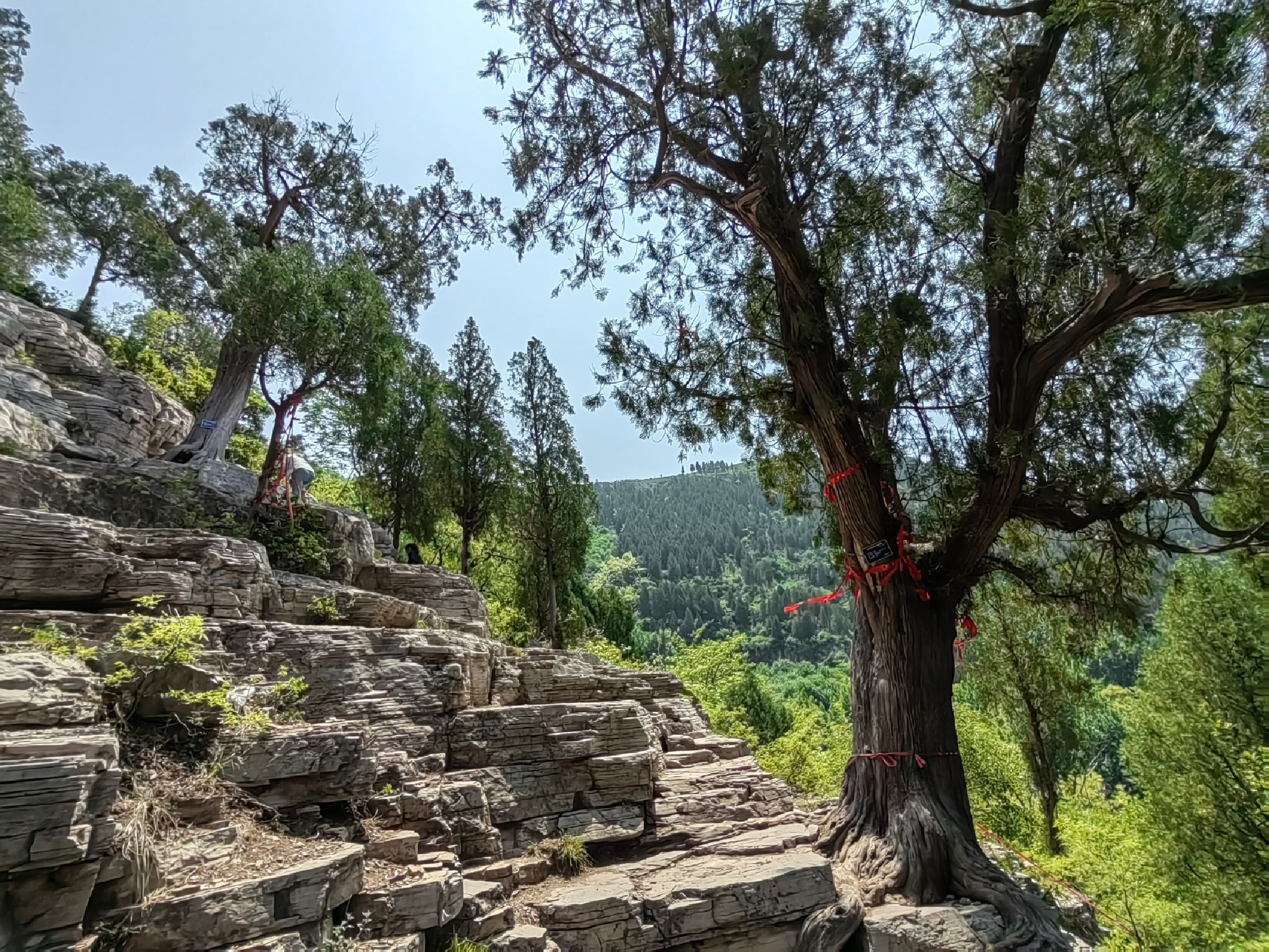 青州雀山风景区