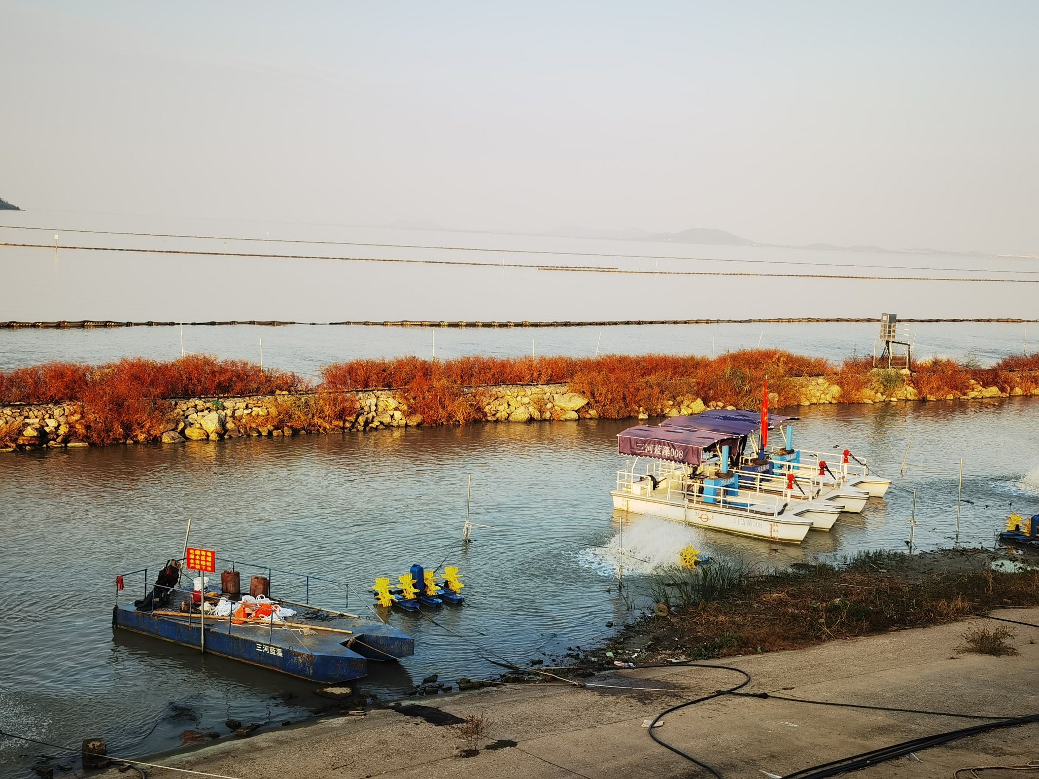 环巢湖观景台