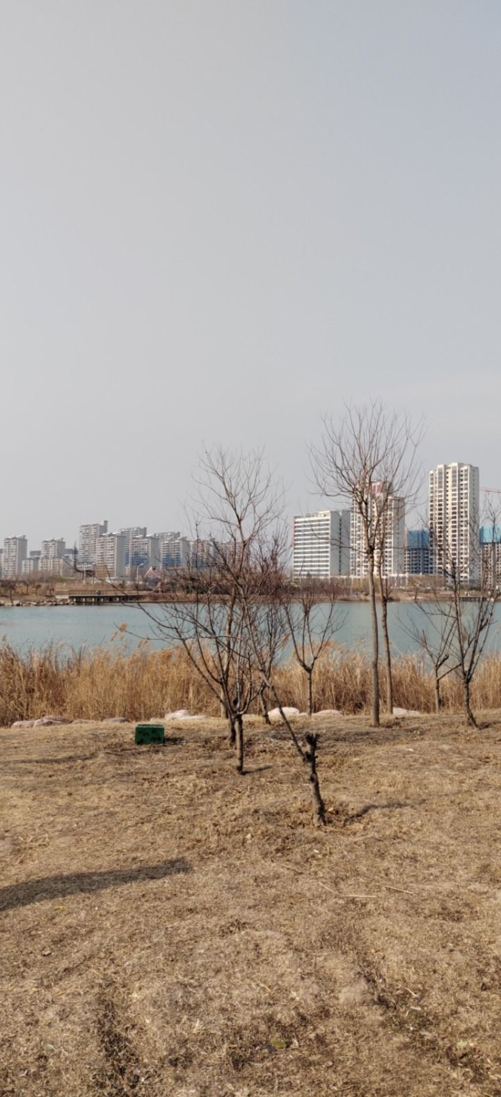 卫辉府城址