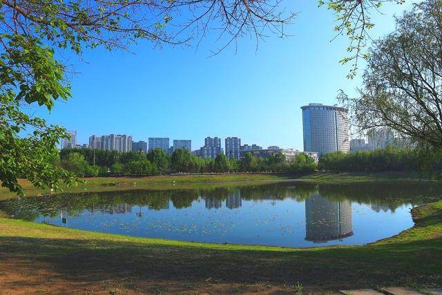 哈尔滨市政府广场旅行图片
