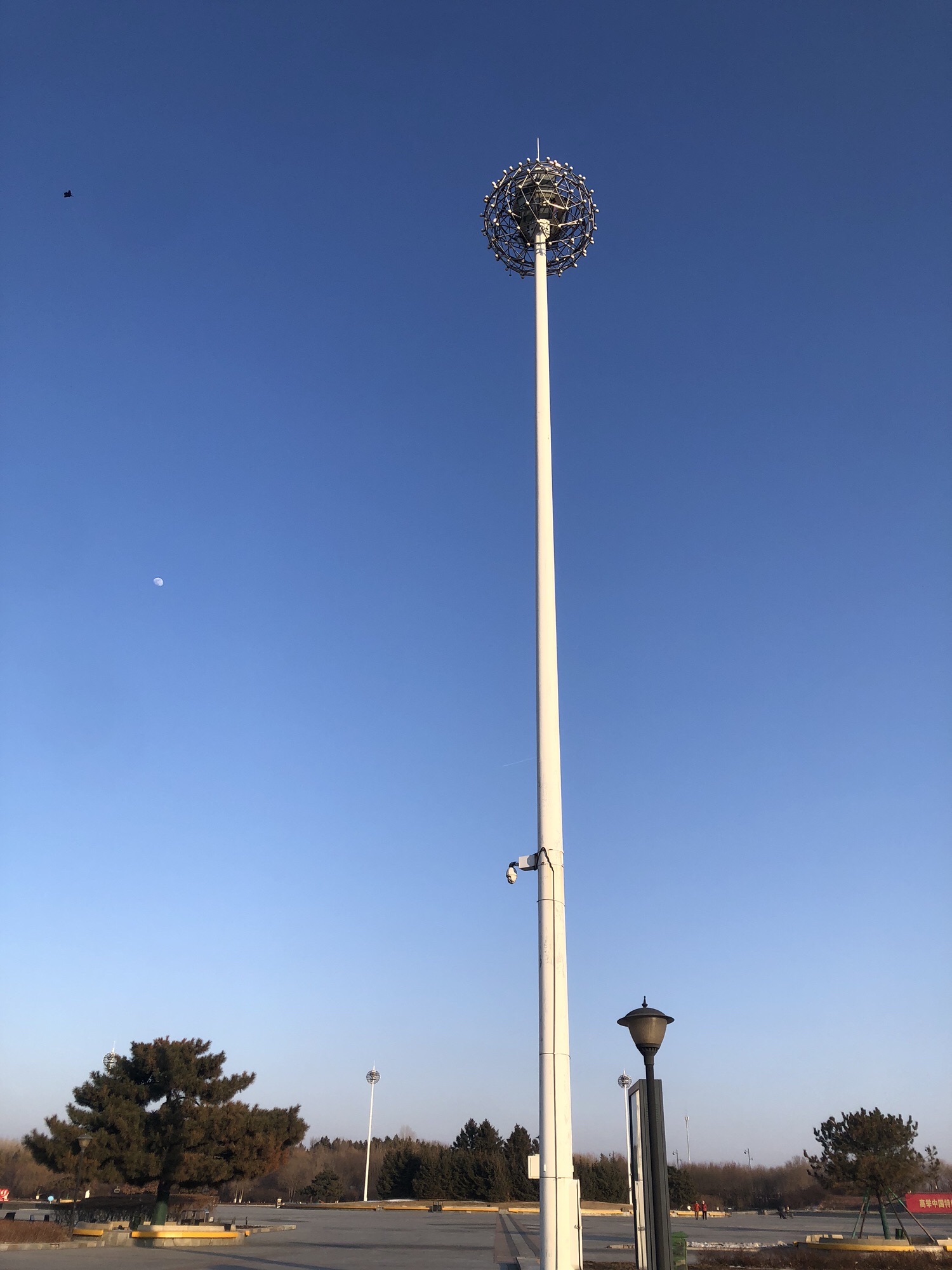 哈尔滨市政府广场旅行图片