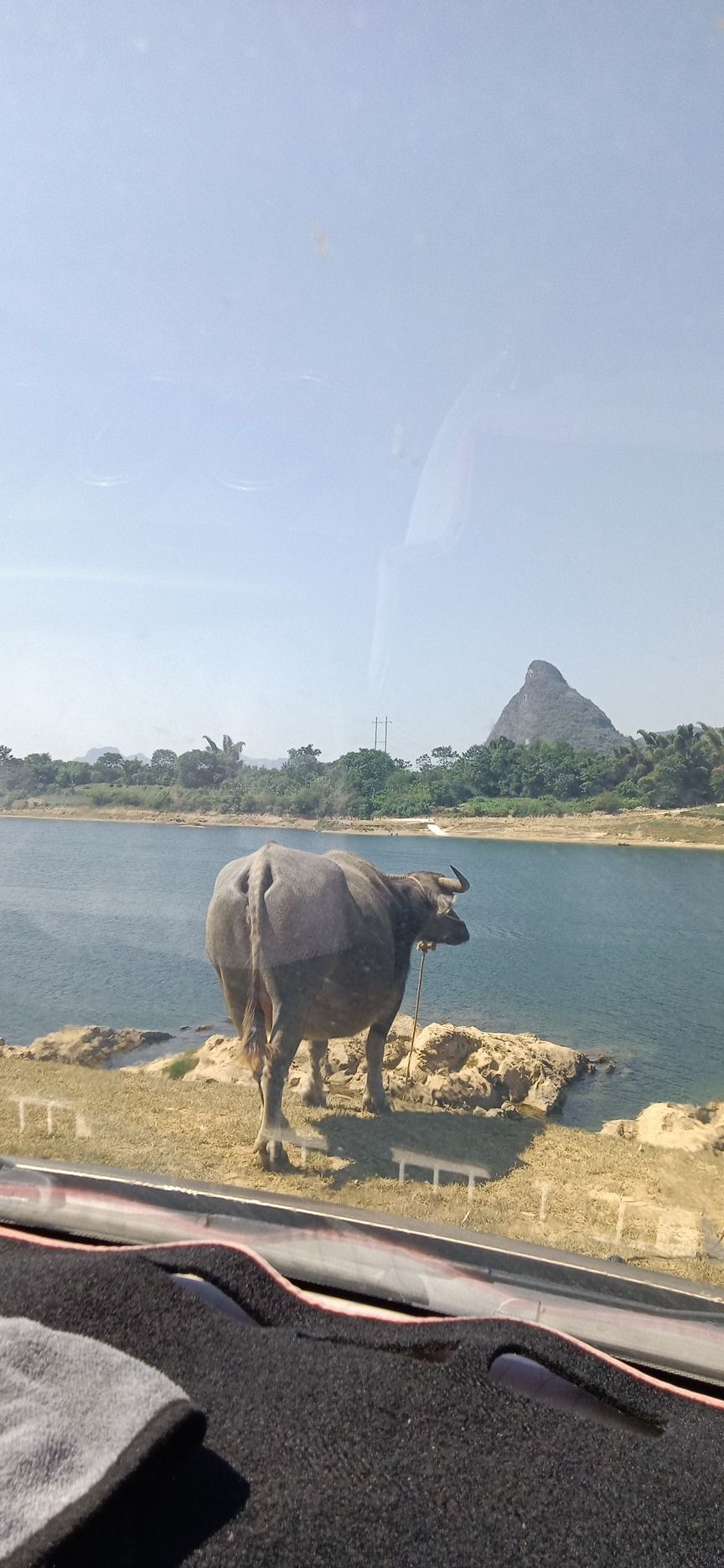 白沙屯蚂拐岛旅行图片