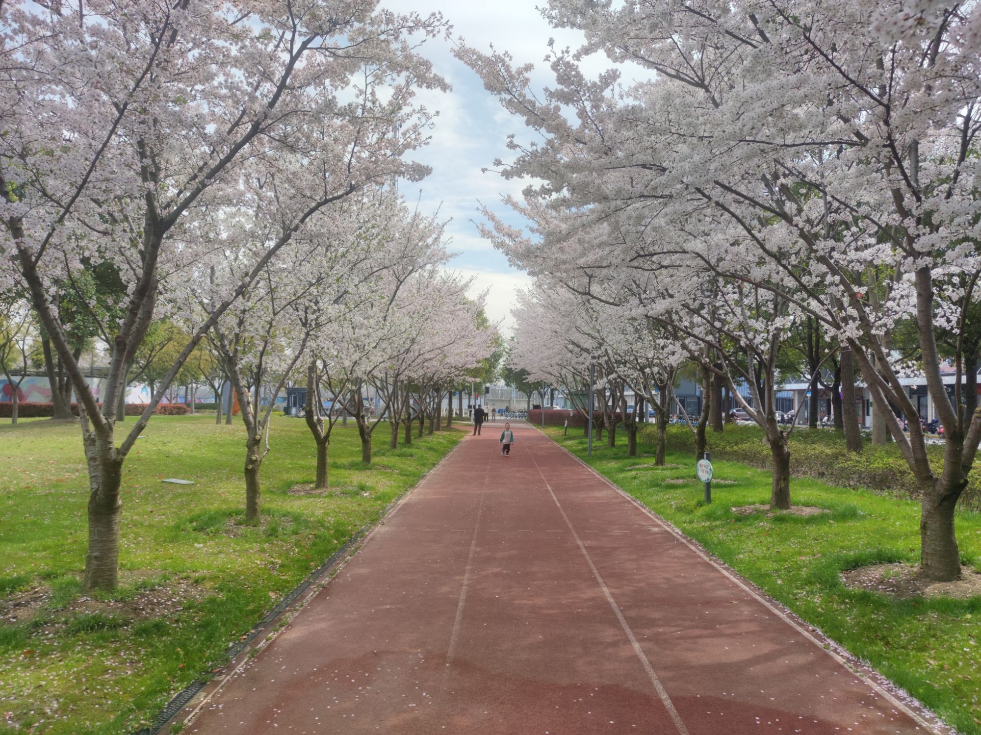 市民公园