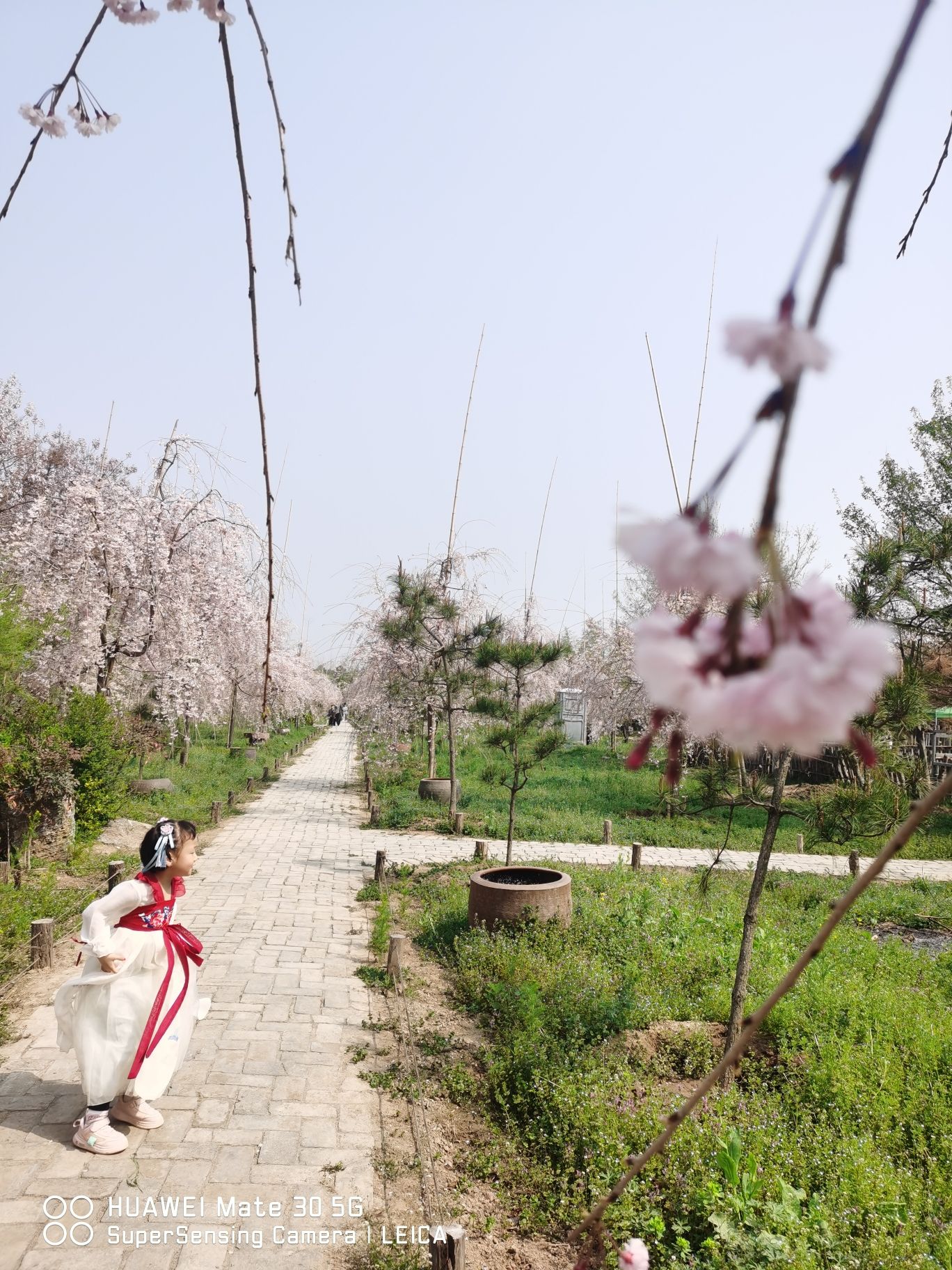 唐韵生态旅游区