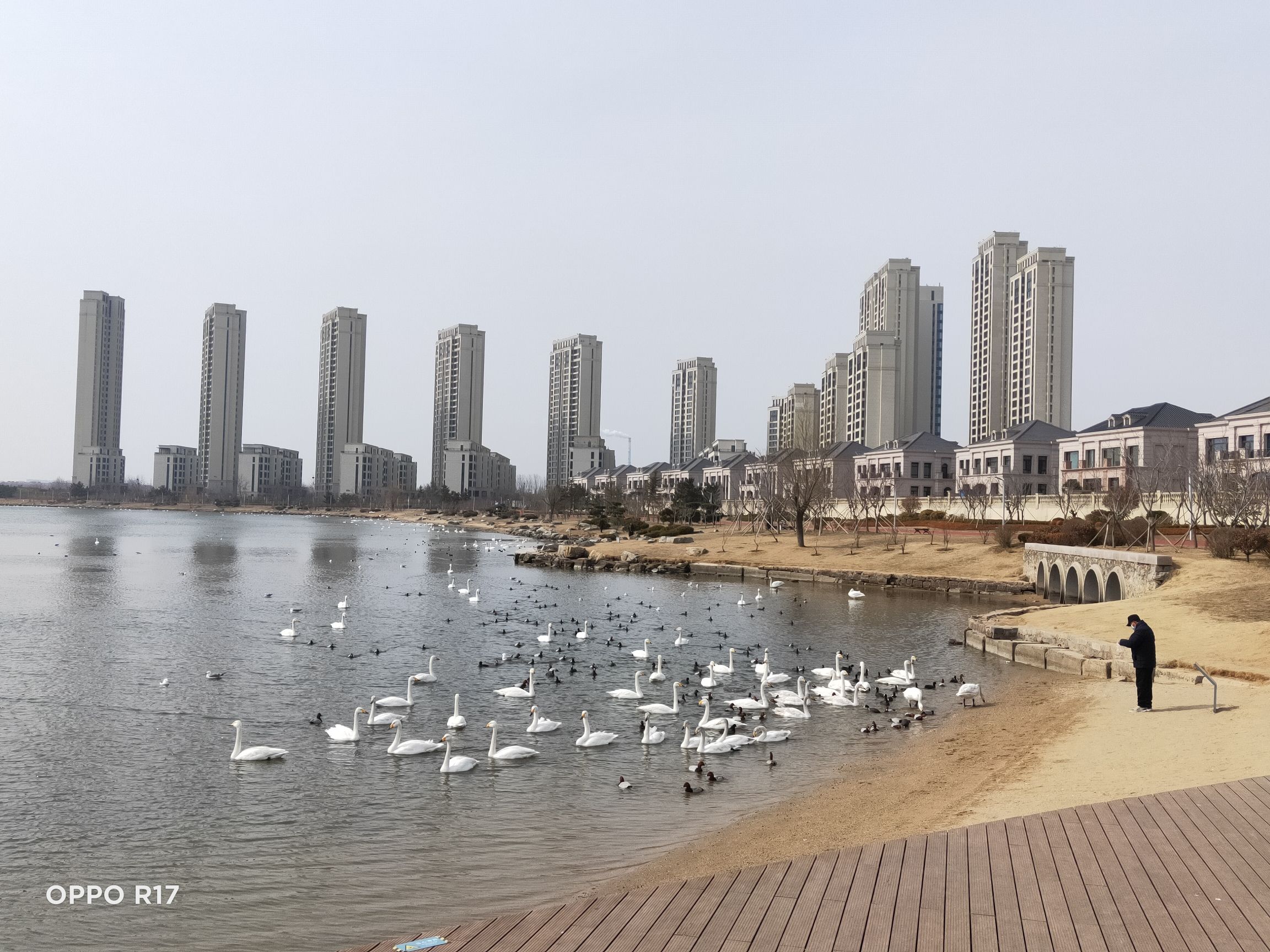 樱花湖体育公园旅行图片