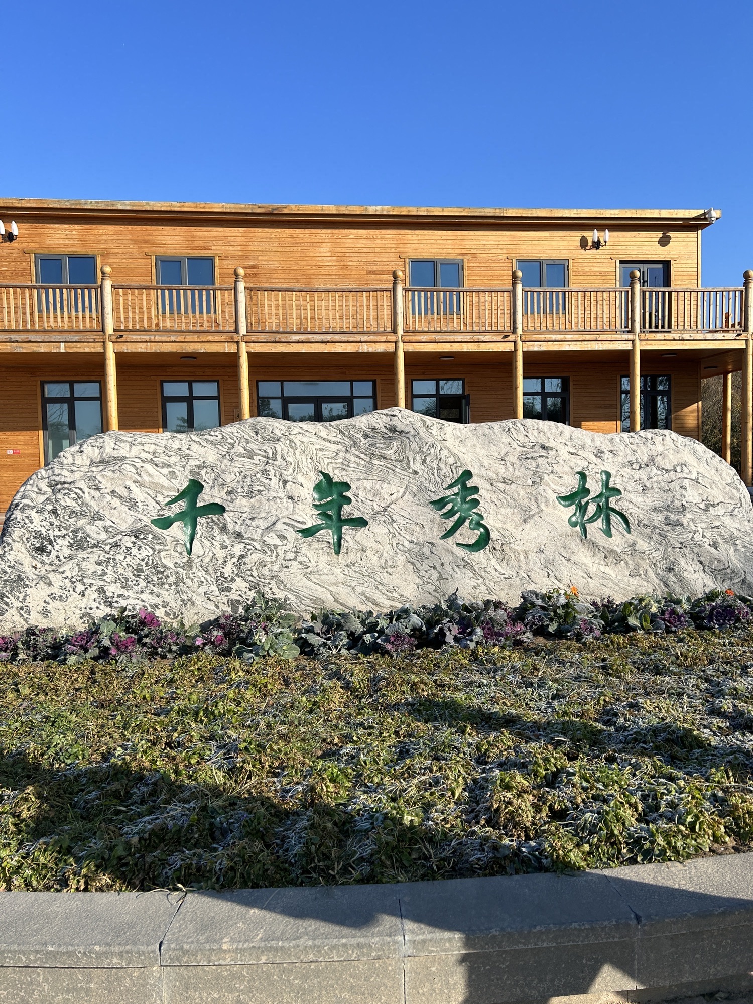 千年秀林旅行图片