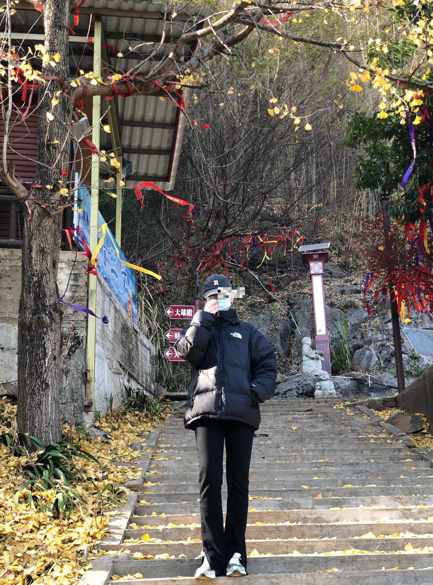 仙女寨植物园旅行图片