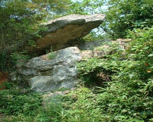 仙女寨植物园旅行图片