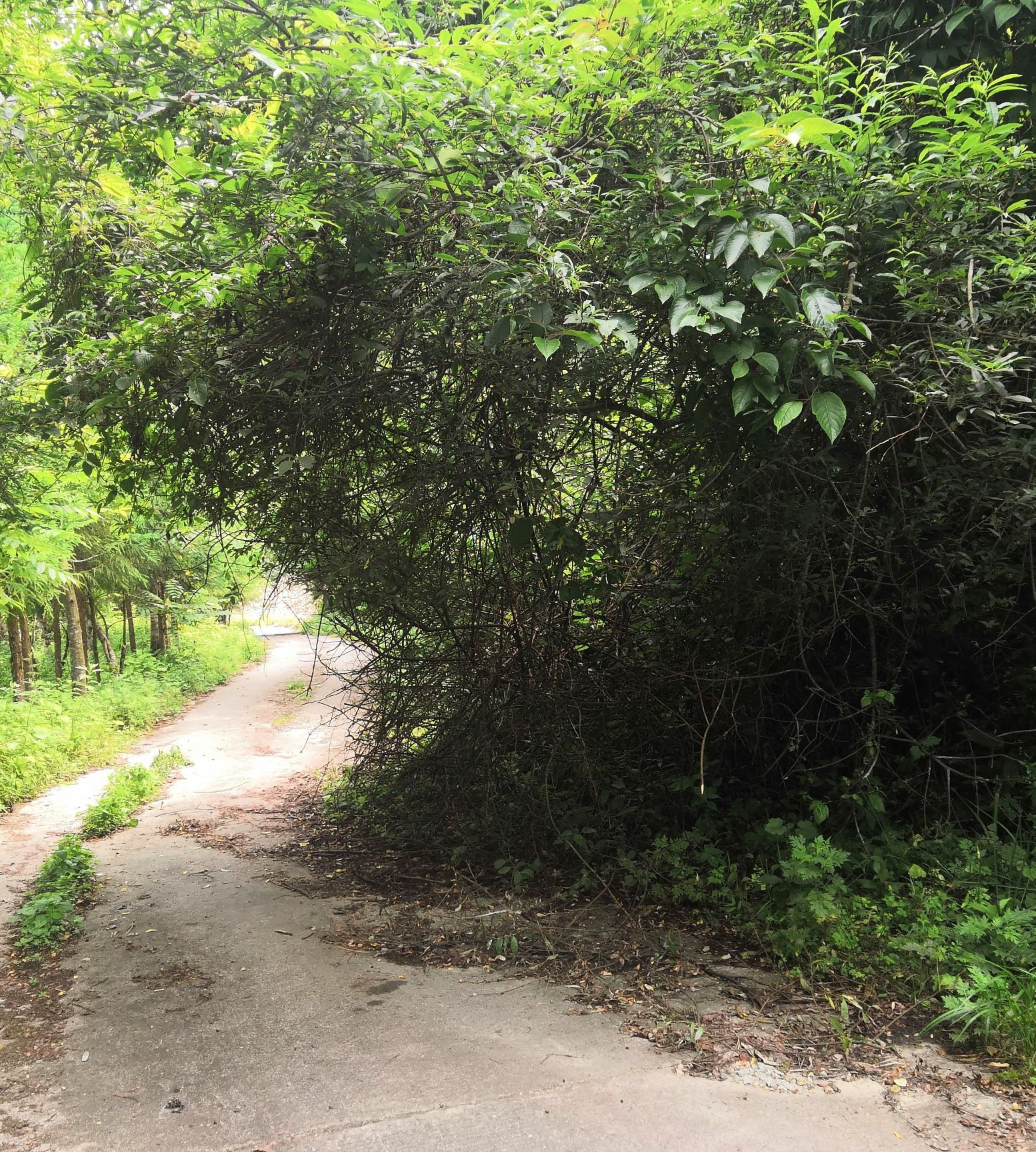 蜂桶寨邓池沟景区旅行图片