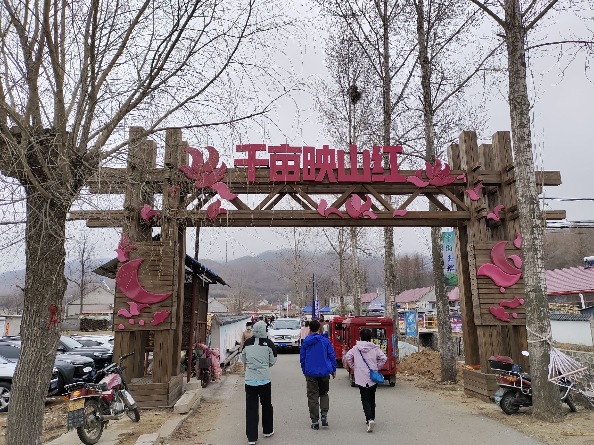 岫岩黄岭映山红景区旅行图片