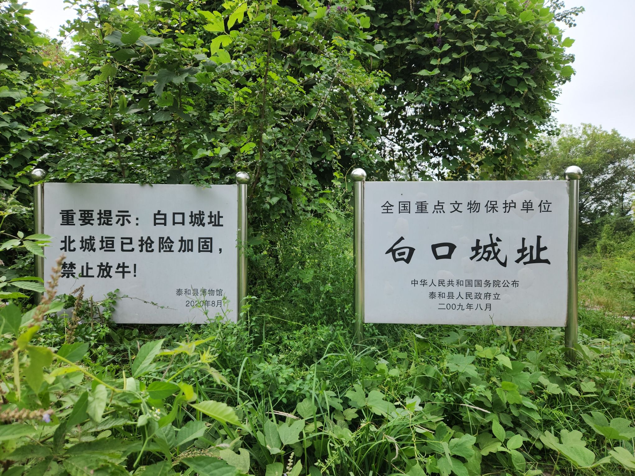 白口城遗址