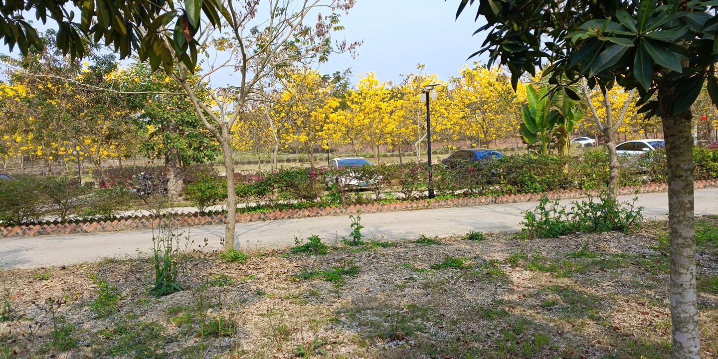 岜博山康养景区