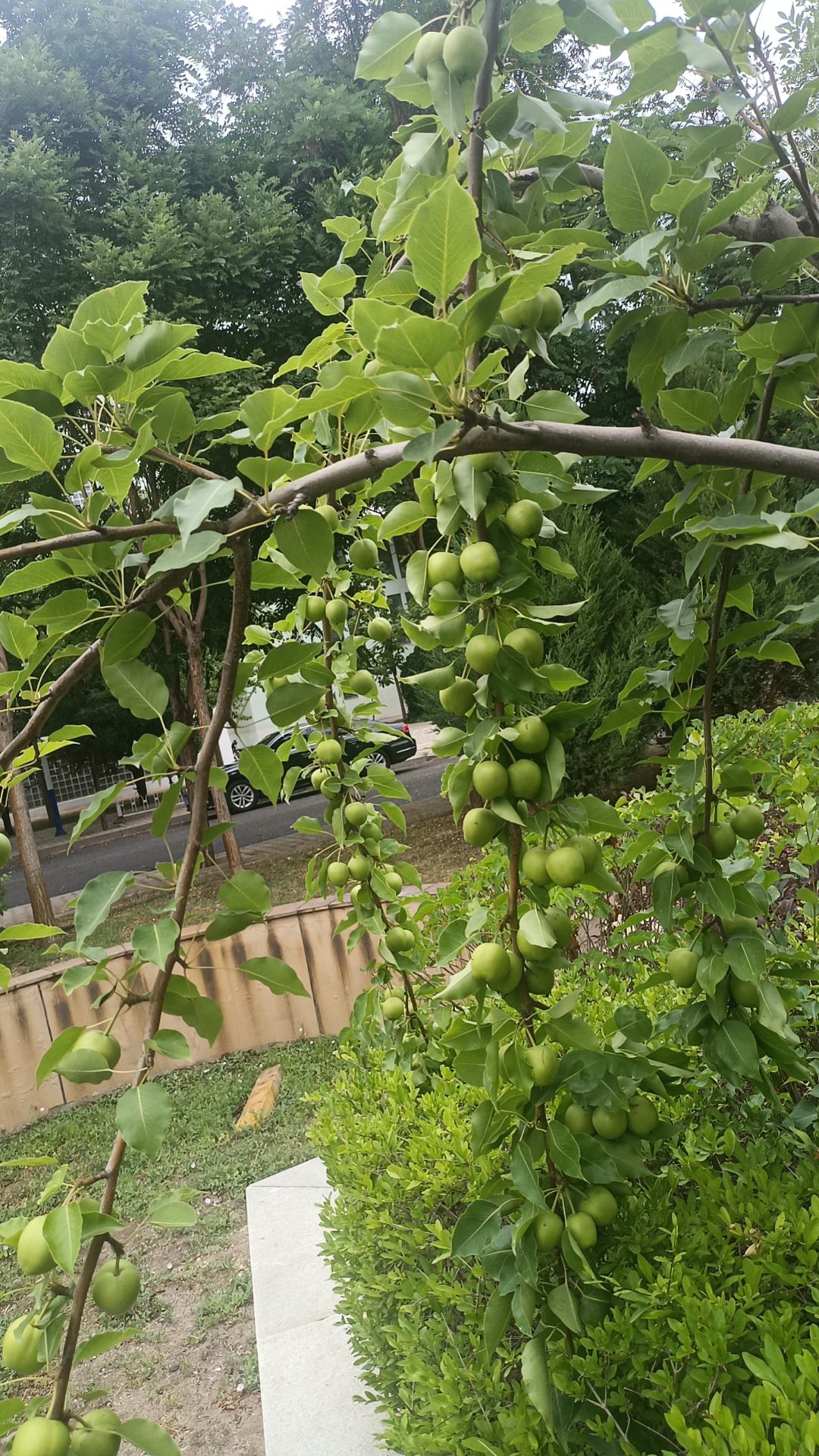 足球主题公园