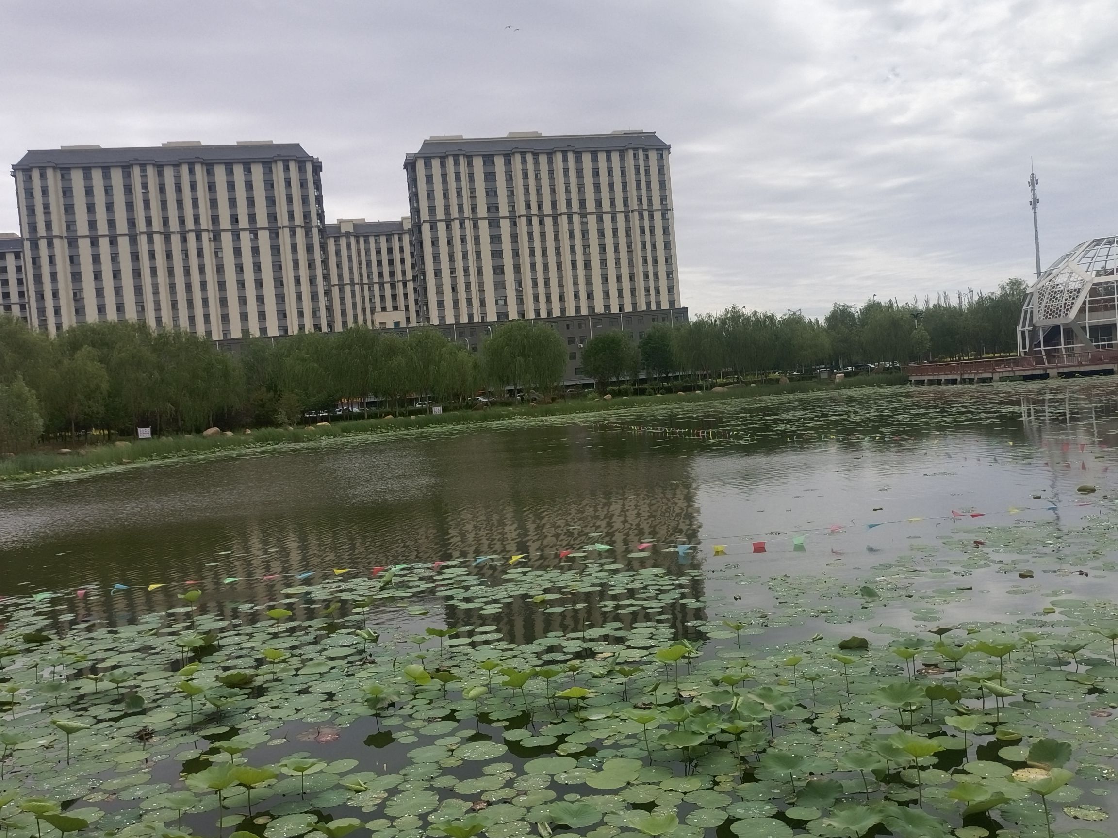 足球主题公园旅行图片