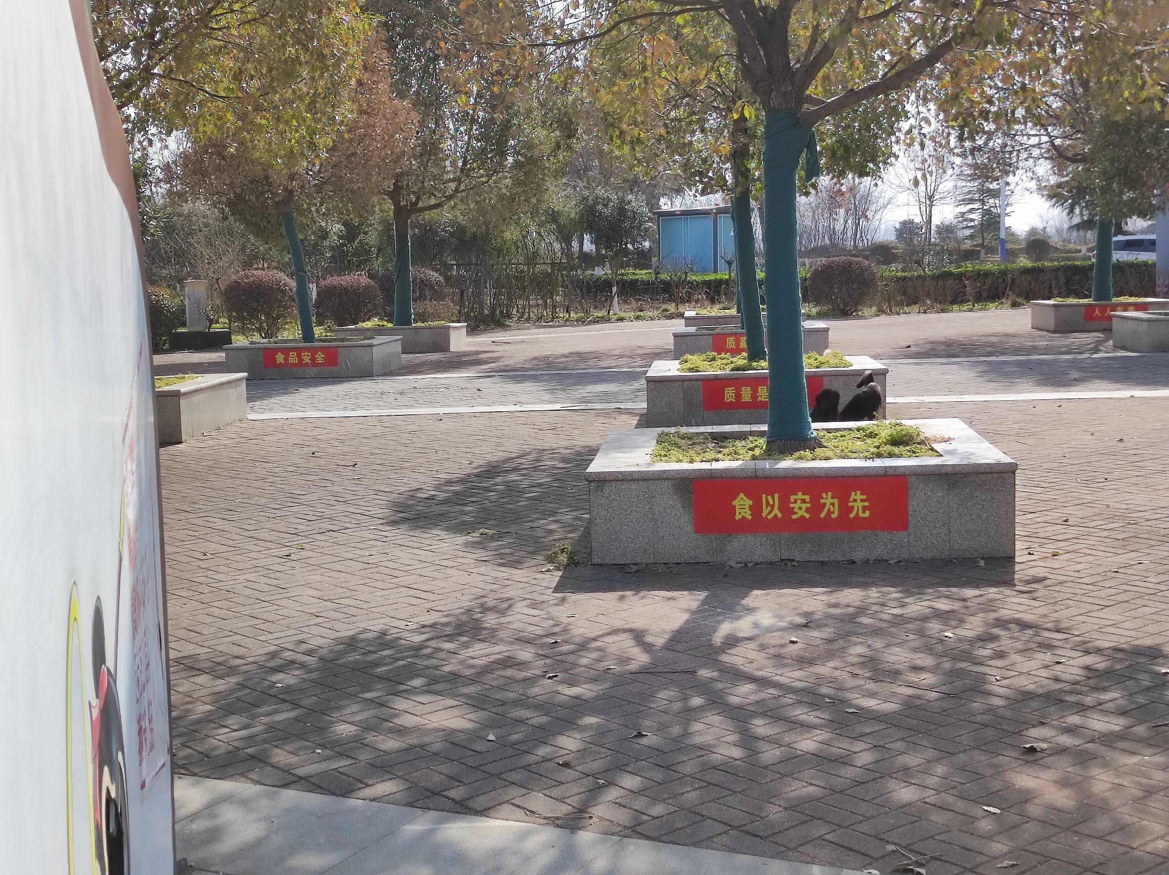 清水湖公园