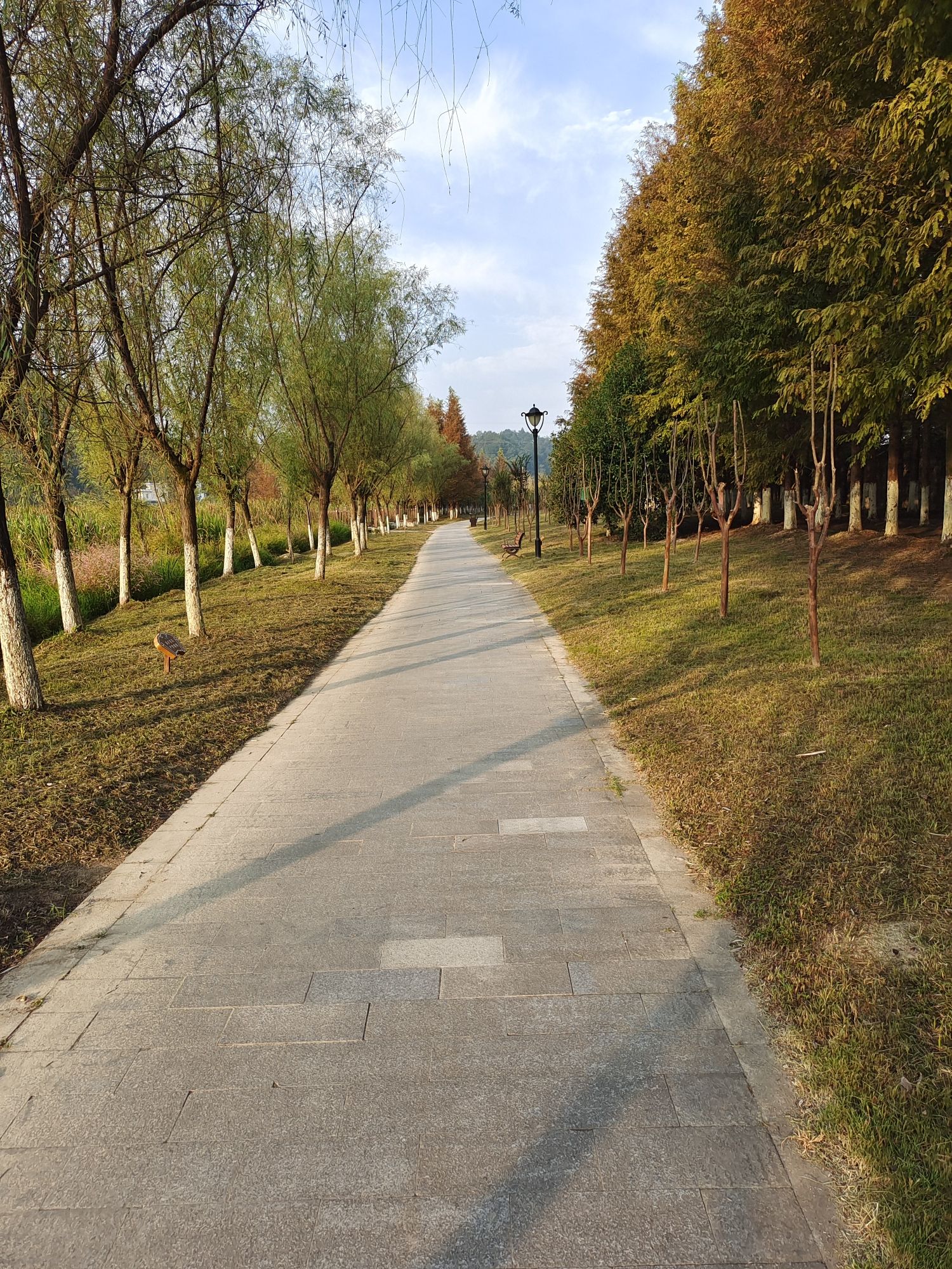 横江公园旅行图片